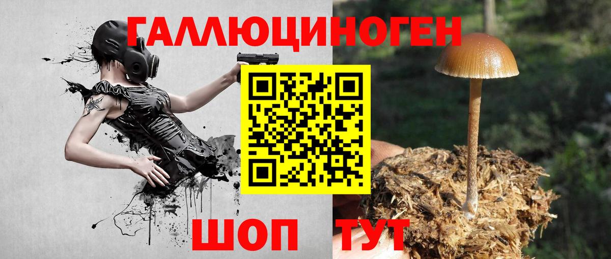 Псилоцибиновые грибы ЛСД  Вход с VPN  где можно купить наркотик  Обнинск 